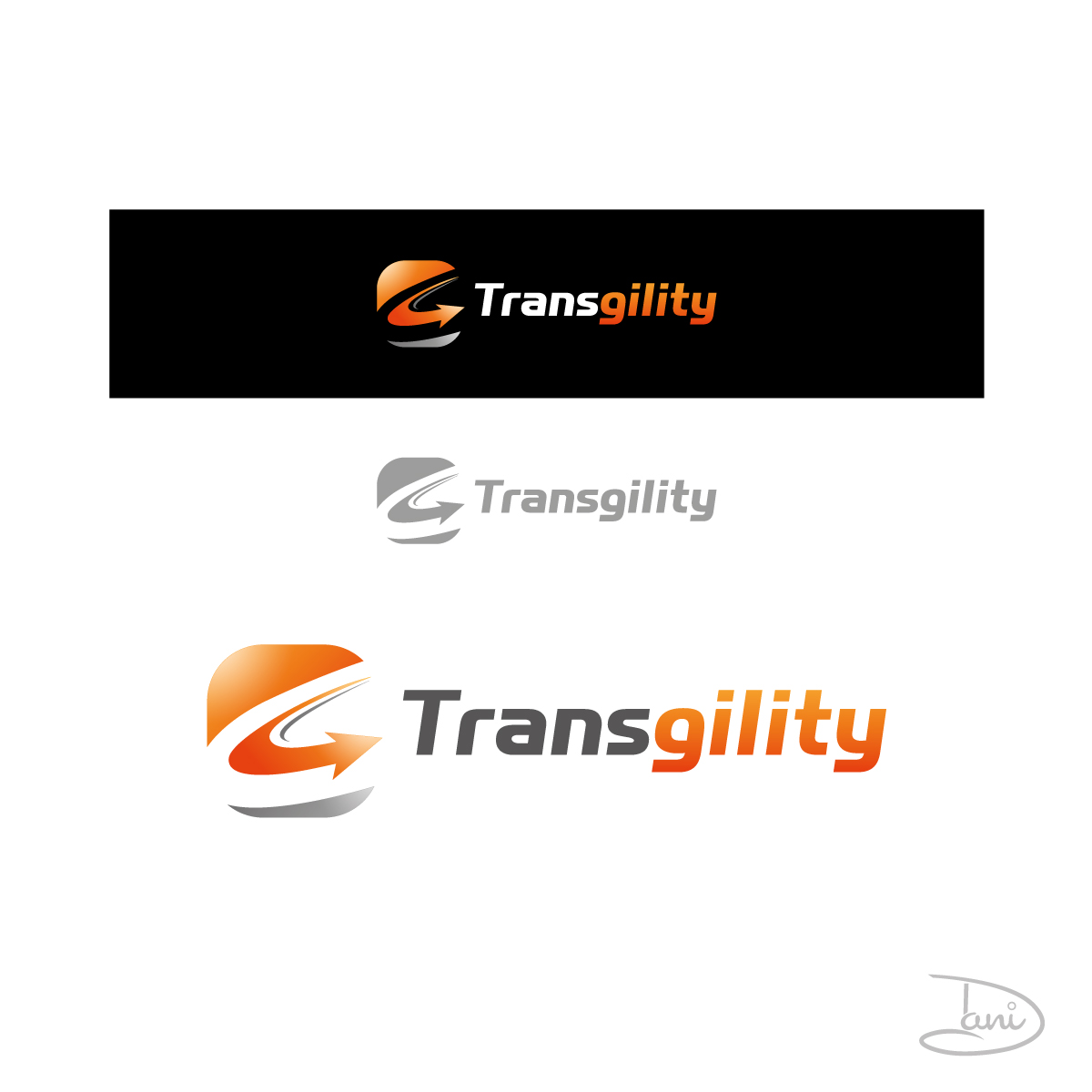 Logo-Design von Dani_dani für Transgility | Design #1714784