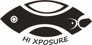 Logo Design by hamza.oujamaa