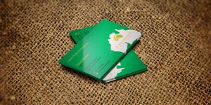 Business Card Design by AFHUN for Island Property Solutions | Design: #6472563