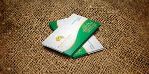 Visitenkarten-Design von AFHUN für Island Property Solutions | Design: #6495495