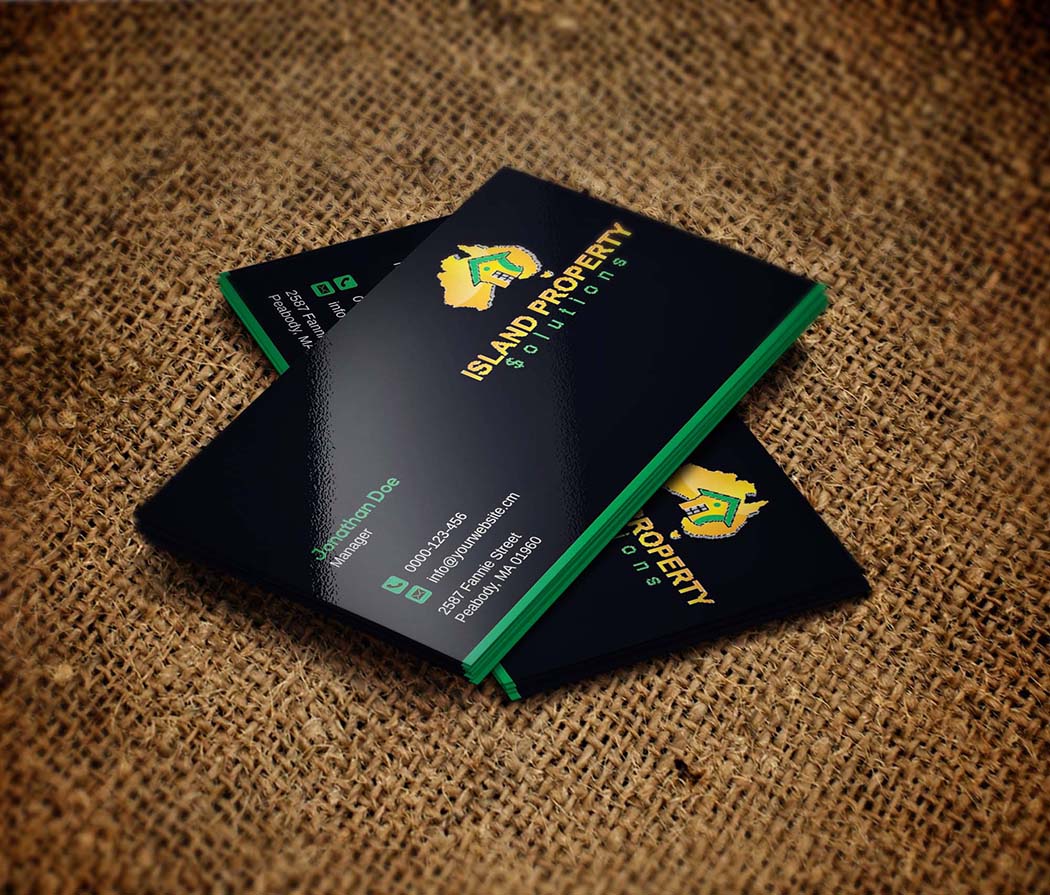 Business Card Design by zillurrahman800 for Island Property Solutions | Design #6511807