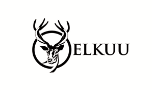Logo Design by ESolz Technologies