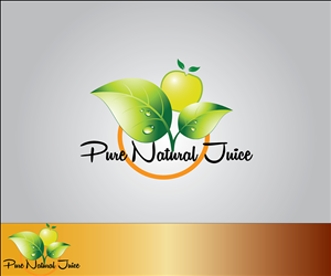 Logo Design by Alex Design