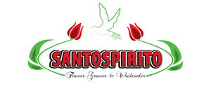 Logo Design by StanlyV2 for mmINC Pty Ltd | Design: #1692696