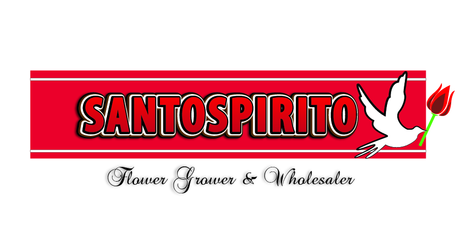 Logo Design by StanlyV2 for mmINC Pty Ltd | Design #1724626