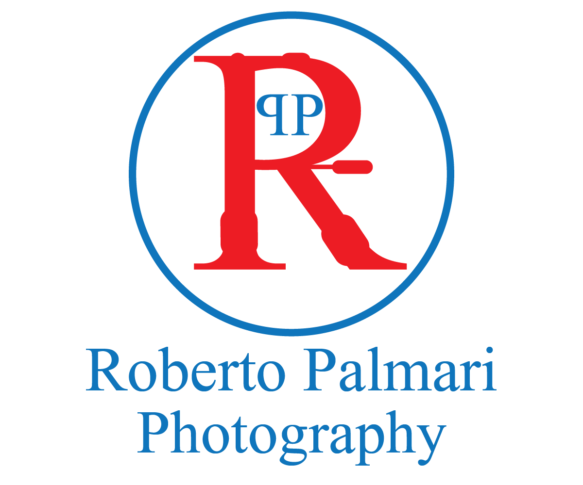 Logo Design by Designer King for this project | Design #6475148
