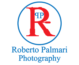 Logo Design by Designer King for this project | Design: #6475148