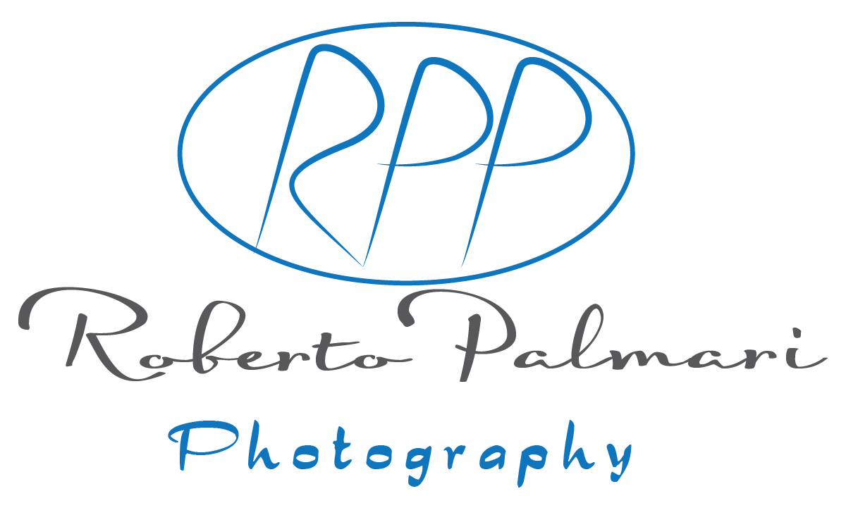Logo Design by Designer King for this project | Design #6526827