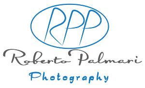 Logo Design by Designer King for this project | Design: #6526827