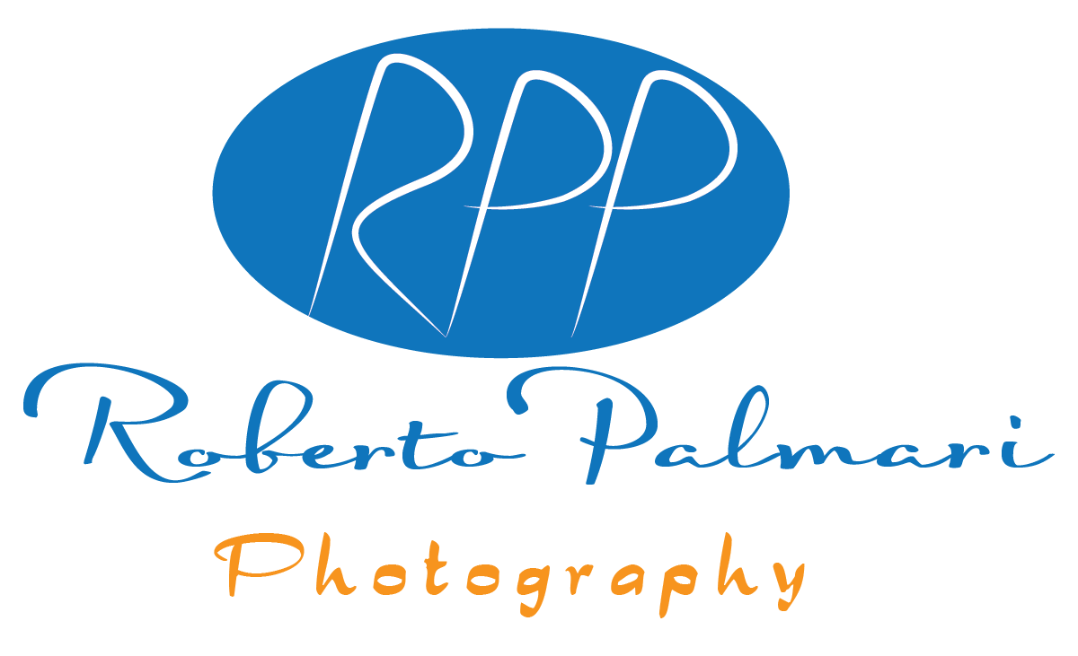 Logo Design by Designer King for this project | Design #6526830