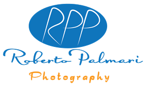 Logo Design by Designer King for this project | Design: #6526830
