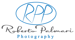 Logo Design by Designer King for this project | Design: #6546017