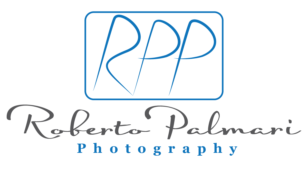 Logo Design by Designer King for this project | Design #6546042