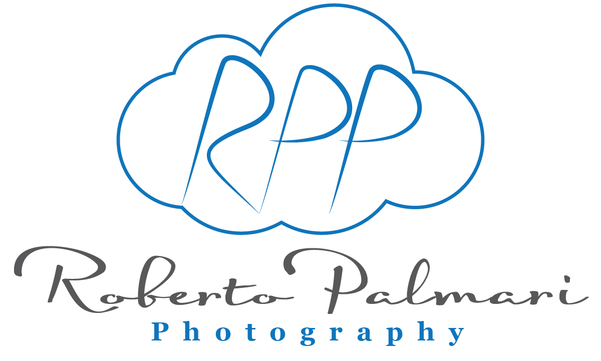Logo Design by Designer King for this project | Design #6546086