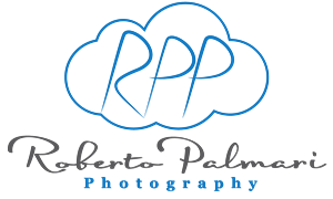 Logo Design by Designer King for this project | Design: #6546086