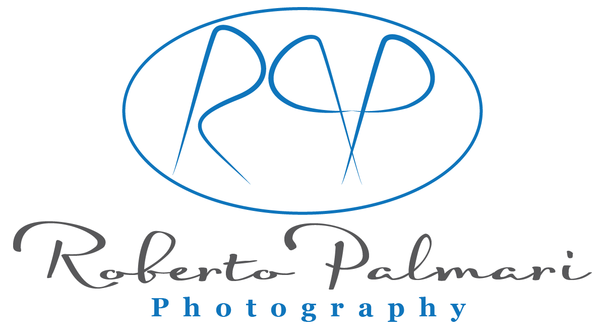 Logo Design by Designer King for this project | Design #6546093