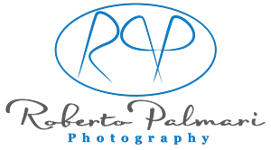 Logo Design by Designer King for this project | Design: #6546093