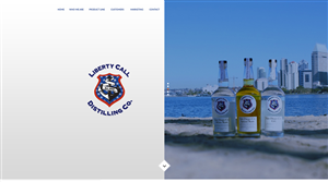 Web Design by Aleksander