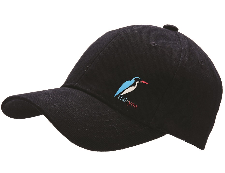 Logo-Design von zip für dieses Projekt | Design #1747849