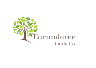 Logo Design by Pugmarks Interweb