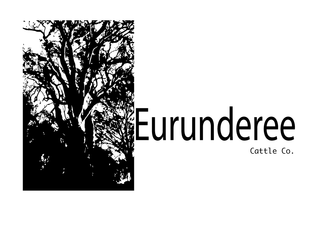 Logo Design by Ex35 for this project | Design #6465504