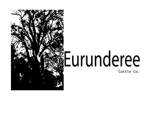 Logo-Design von Ex35 für dieses Projekt | Design: #6465504