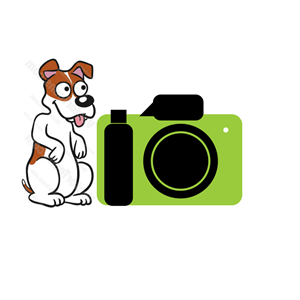 Logo Design by PiccoloGuy