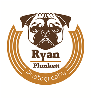 Logo Design by TheSilverTiger