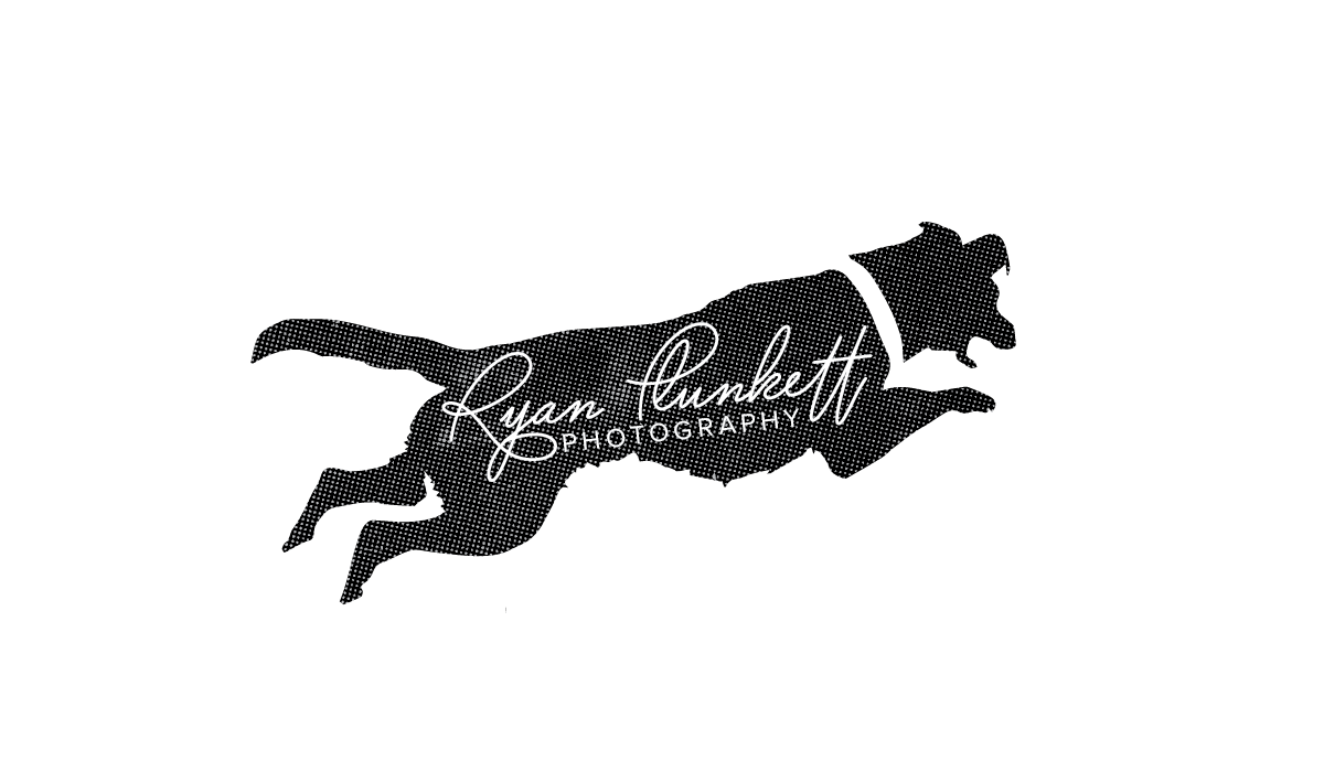 Logo Design by Andrew for this project | Design #6502232