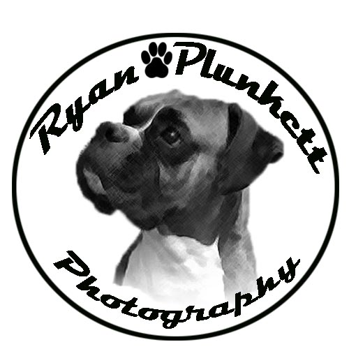 Logo-Design von jill_mergendahl für dieses Projekt | Design #6566175