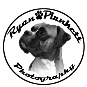 Logo Design by jill_mergendahl for this project | Design: #6566175