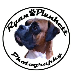 Logo Design by jill_mergendahl for this project | Design: #6566216