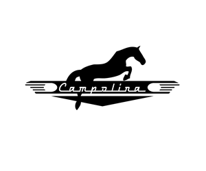 Logo Design by ximena