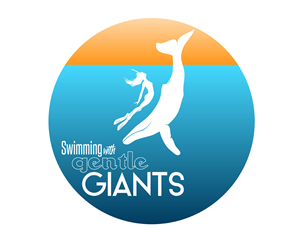 Logo Design by Hey Lex