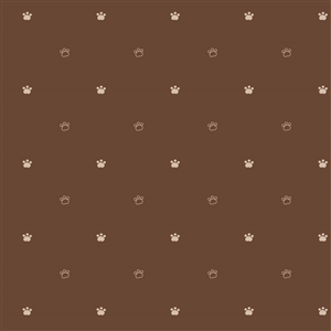 Graphic Design by Cloud My Ground