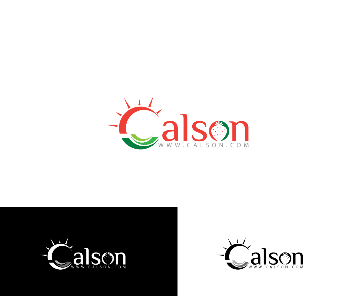 Logo Design by Omee63 for HotSync Computer Solutions | Design #15549998