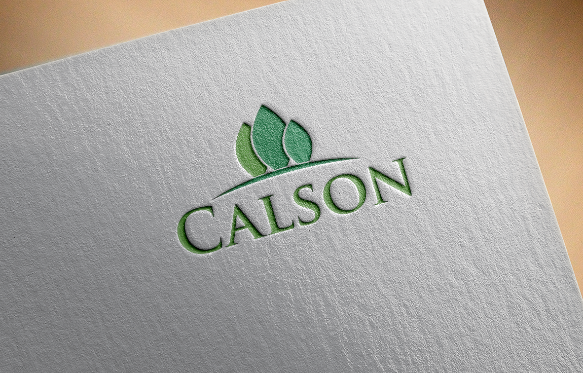 Logo Design by carabuenaeffect for HotSync Computer Solutions | Design #15611784