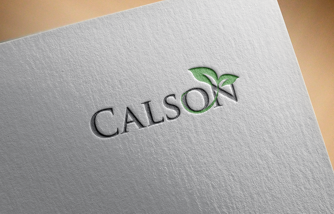 Logo Design by carabuenaeffect for HotSync Computer Solutions | Design #15611792