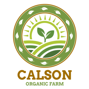 Logo Design by Rahul97