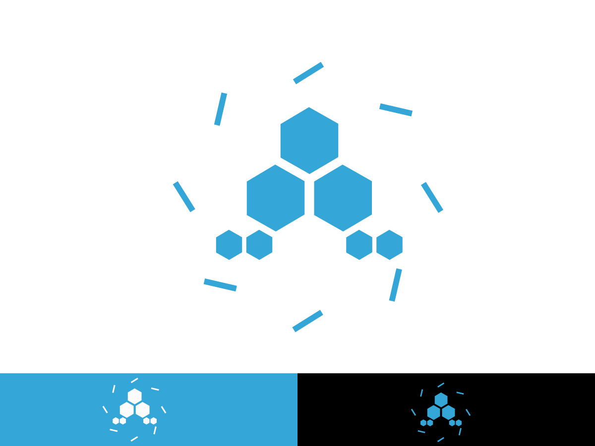 Logo Design by hts for this project | Design #6467937