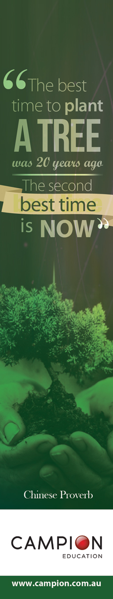 Graphic Design by alessandroevge for this project | Design #6469348