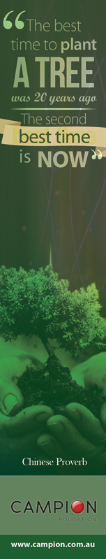 Graphic Design by alessandroevge for this project | Design #6485818