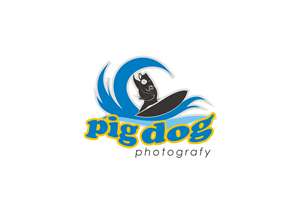 Diseño de Logo por rgrider para este proyecto | Diseño: #6494050