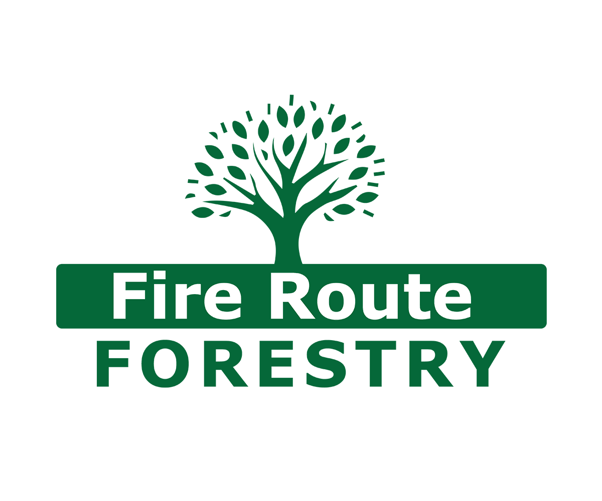 Design de Logo par Tahum3D pour ce projet | Design #1696888