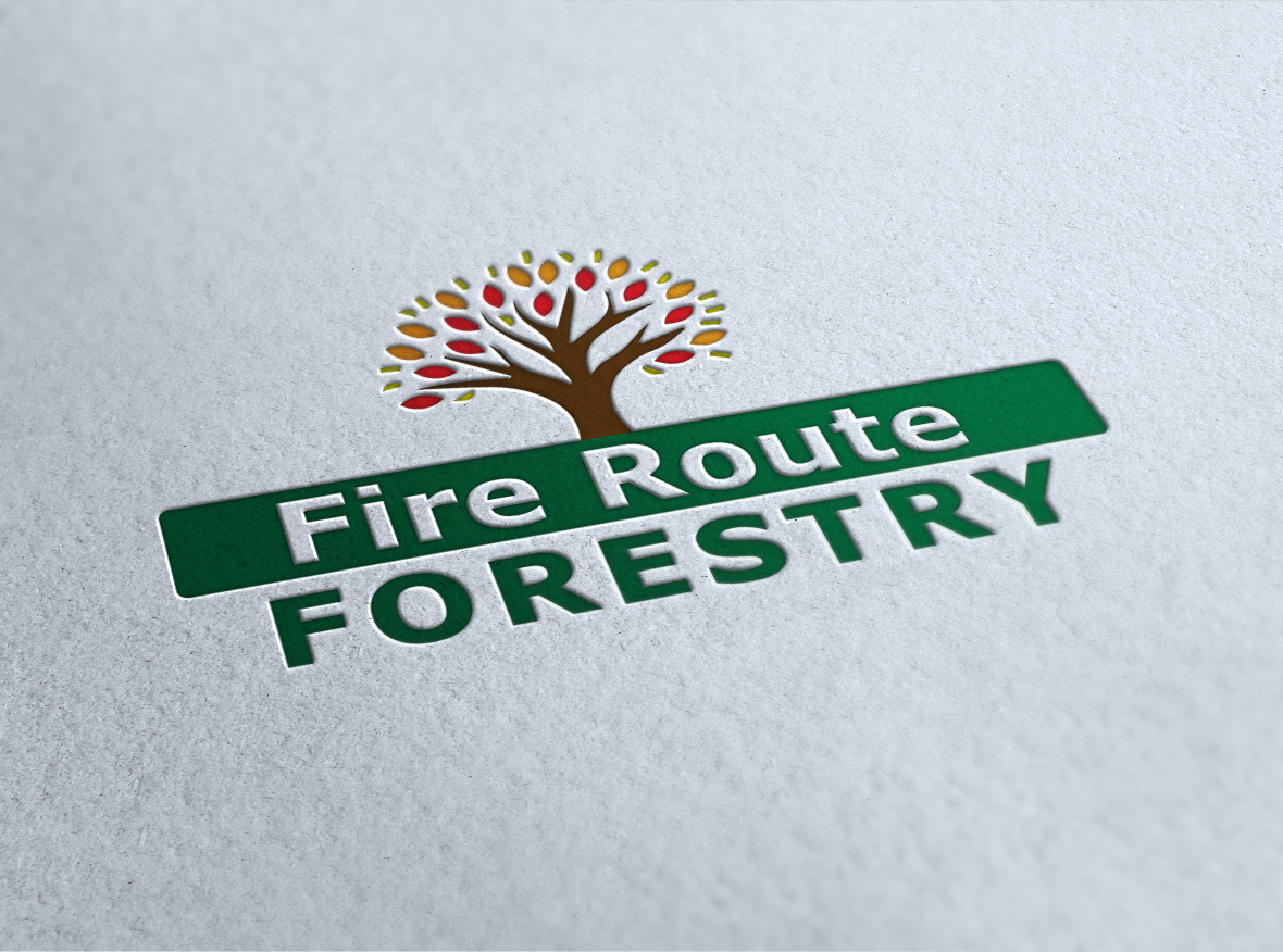 Design de Logo par Tahum3D pour ce projet | Design #1696939