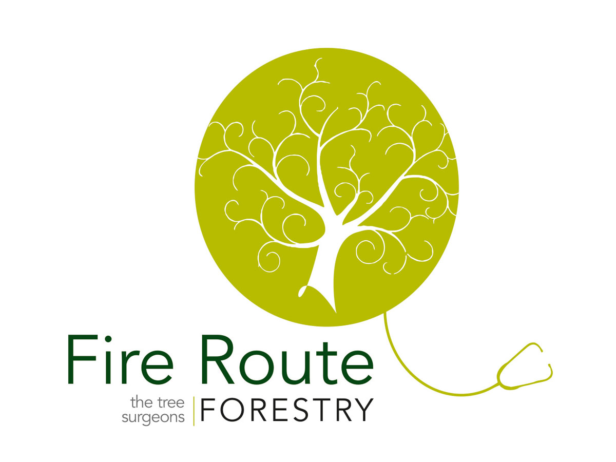 Logo Design by dtone for this project | Design #1700658