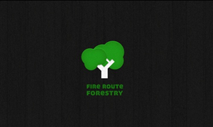Logo Design by nanor