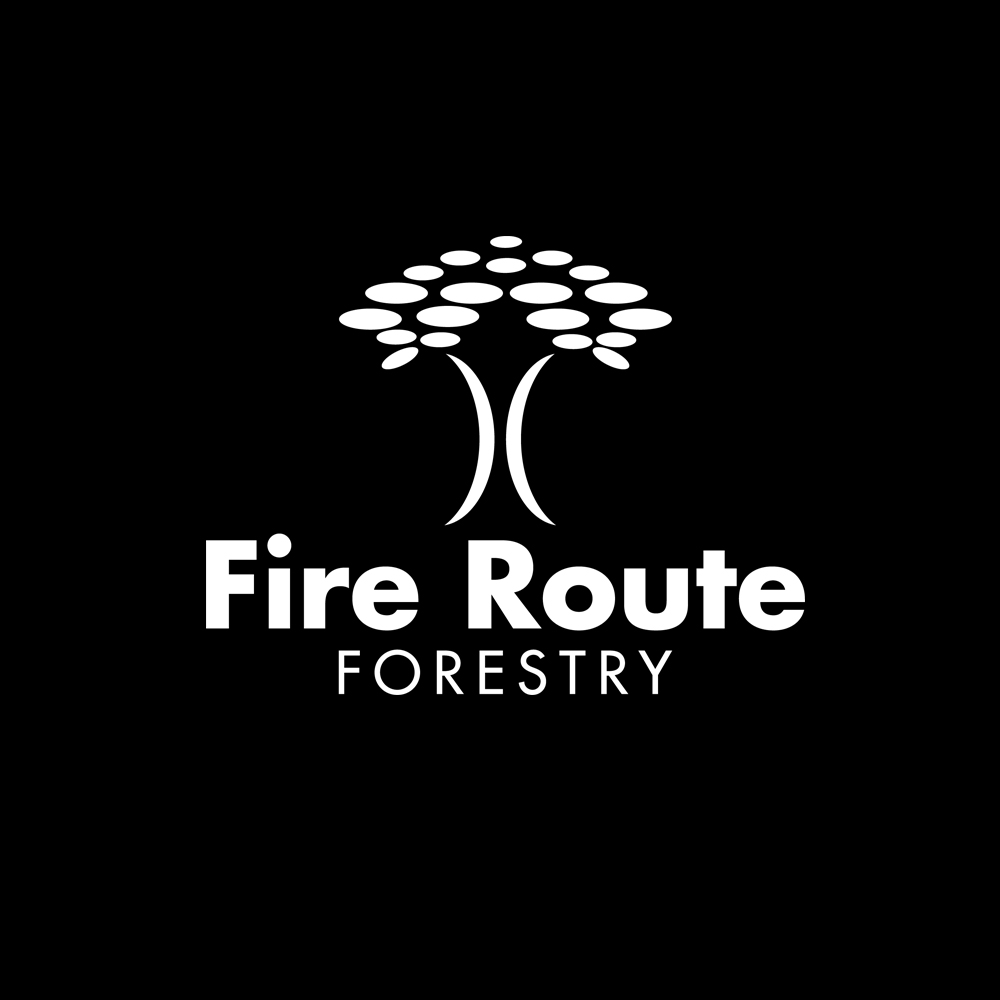 Logo Design by Bonaro Designs for this project | Design #1727026