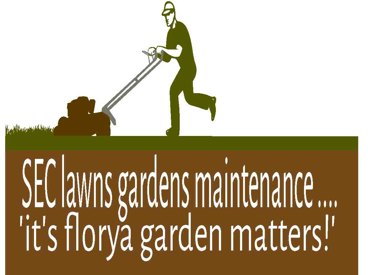 Logo-Design von Mr.Walter für dieses Projekt | Design #6473777