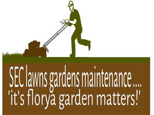 Logo Design by Mr.Walter